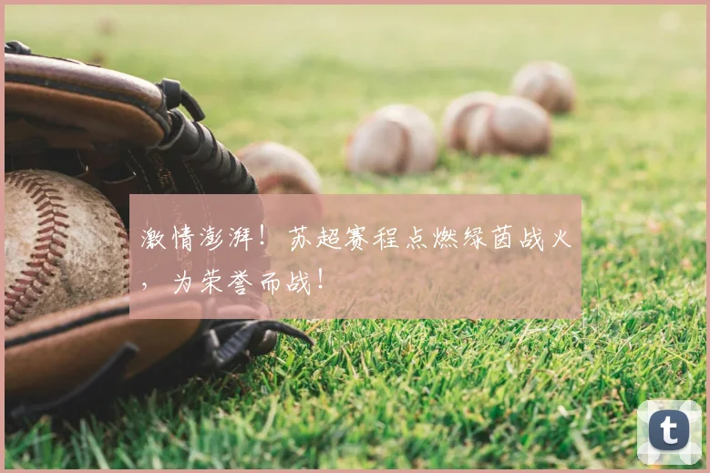 激情澎湃！苏超赛程点燃绿茵战火，为荣誉而战！
