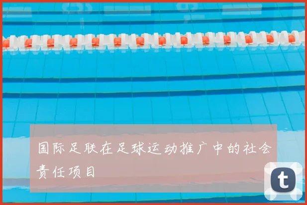 国际足联在足球运动推广中的社会责任项目